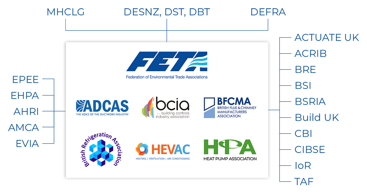 The FETA Network